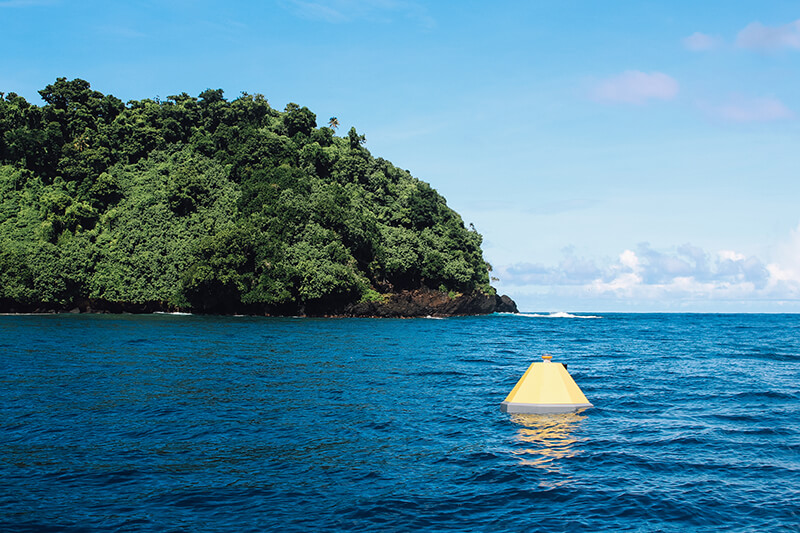 A buoy floating in the water near an island